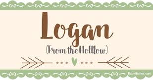 All About The Name Logan Meaning Origin And Popularity Of Logan What Does Logan Mean Click Fo Names With Meaning Baby Names And Meanings Unisex Baby Names