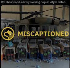 Were us service dogs left behind in afghanistan? 3he Hqiaqglpfm