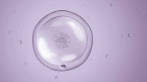 Find the answers you need about egg donation pay, egg donor requirements how much will i be paid to donate my eggs? Fertilys Donating Eggs For In Vitro Fertilization