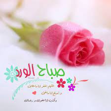 صبح و مساء on instagram صباح الخيرات والمسرات صباح الورد صباحي good morning arabic morning greeting good morning greetings