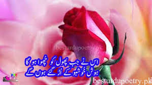 54 famous qasim ali shah quotes in urdu urdu quotes. Phool Shayari In Urdu Flower Poetry In Urdu Best Urdu Poetry