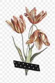 Tumblr gambar aesthetic bunga dunia gambar. Tulip Flower With Washi Tape Design Element Premium Image By Rawpixel Com Marinemynt Flower Illustration Sticker Art Flower Aesthetic