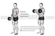 Olympic triceps bar hammer curl exercise instructions and video