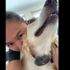 Organise a free meet and greet. Dupaws In Home Dog Boarding Dog Walking Pet Sitting And Dog Daycare In Dubai