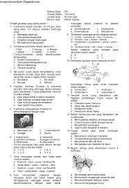 Soal un kelas 6 ipa 2019. Terkini Soal Un Ipa Kelas 6 Dan Kunci Jawaban 2019