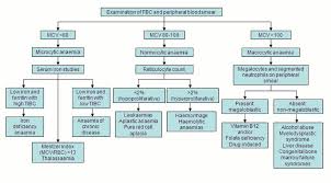 Anemia Clinical Approach Algorithm Flowchart Diagram