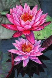 Pin By Sharon Wheat On Beautiful Images Lotus Art Flower Art Drawing Flower Drawing
