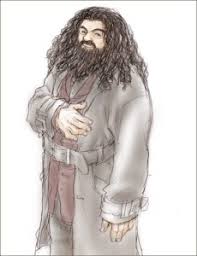 Case Study Harry Potter S Hagrid