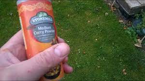 You will still have cats visiting your garden but you will relocate the damage. How To Stop Cats From Pooping In Your Garden What You Need Youtube