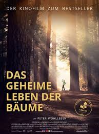 Das Geheime Leben Der Baume Film 2019 Filmstarts De