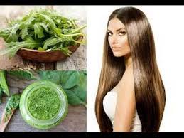 طريقة عمل زيت الجرجير الخالص لشعرناعم وكثيف وبشرة مشرقة زيت نعناع زيت بقدونس Youtube Long Hair Styles Hair Styles Beauty