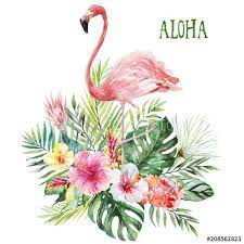 Flamingo Flower Bouquet Best Flower Wallpaper