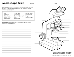 (ii) saliva contains amylase that breaks down. Pin By Marysol Sanchez On School Microscope Parts Microscope Activity Microscopic