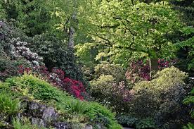 Pflanzenwelten Verein Freunde Des Botanischen Gartens Bielefeld E V