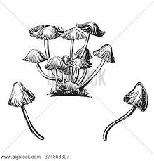 Cheap decorative tapestries, buy quality home & garden directly from china suppliers:psychedelic trippy mushroom wall hanging tapestries trippy smoke magic mushrooms enjoy ✓free. Hand Drawn Sketch Vector Photo Free Trial Bigstock