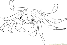 Crabs are one of the most common crustaceans and can be seen in the ocean, beaches, creeks, mud. Sally Lightfoot Crab Coloring Page For Kids Free Crab Printable Coloring Pages Online For Kids Coloringpages101 Com Coloring Pages For Kids