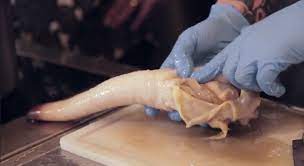 How To Cook A Geoduck | Kuow News And Information