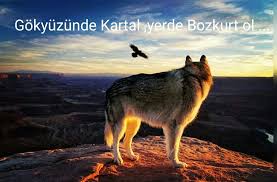 Wolf Wolves Wolfe Howling Wolf Bozkurt Kurt Kurtlar Panosundaki Pin
