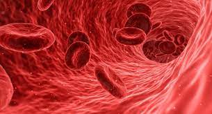 Persoanele cu hemofilie pot avea hemoragii interne necontrolate ca urmare a unei acţiuni aparent minore. Hemofilie Genezen Door Gentherapie De Ingenieur
