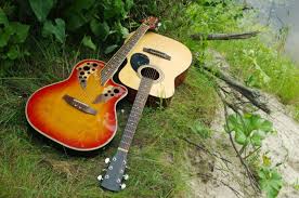Zager Guitars History & Model Guide - Guitar Space