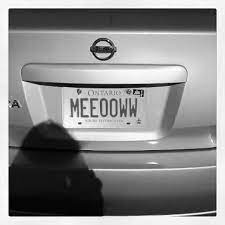 Now you can shop for it and enjoy a good deal on aliexpress! Meeooww License Plate Funny License Plates Personalized License Plates License Plate