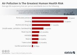 chart air pollution is the greatest human health risk