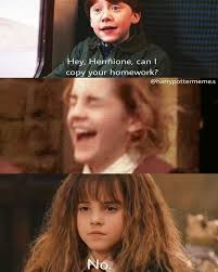 Pin By Elly Rae On Dumbledore S Army Harry Potter Memes Harry Potter Puns Harry Potter