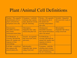 Maybe you would like to learn more about one of these? Science Cells To Body Systems Ppt Download