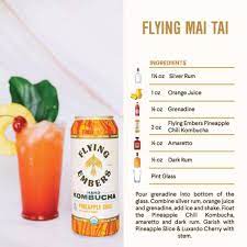 Check spelling or type a new query. Hard Kombucha Recipes Flying Embers Kombucha Recipe Kombucha Kombucha Cocktail