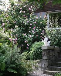 Ein Schweizer Garten Einschweizergarten Instagram Photos And Videos In 2020 Witchy Garden Outdoor Gardens Beautiful Gardens