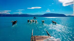 This site does not store any files on its server. Climate Change Scientists Find Another Threat To Greenland S Glaciers Lurking Beneath The Ice Cnn