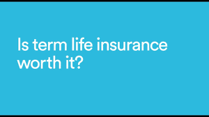 How Does A Life Insurance Policy Payout Work Haven Life