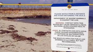 City Announces Annual Closure Of Children S Pool Beach