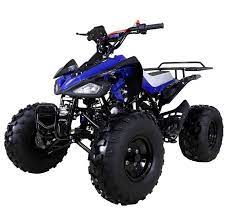 How fast does a 125cc four wheeler go. Tao Tao 125 Atv Ata 125 Cheetah Taotao Cheetah 125cc Online
