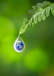 Environmental design is often confused with ecodesign, also known as green design, but the two are not the same. Overview Environment Eurostat