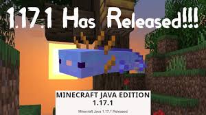 We present to your attention one of the best and most exciting servers — hypixel. 1 17 1 Released Hypixel Minecraft Server And Maps