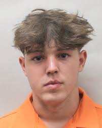 A 19-year-old driver pleads guilty to the fatal hit-and-run death of French  Quarter bartender Michael Milam Thomas Riggio's toxicology samples taken 12  hours after the crash came back positive for cocaine and