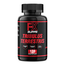 Image result for Tribulus terrestris
