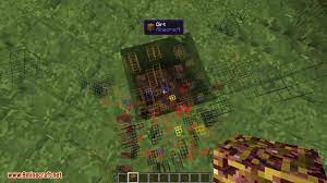 Advanced Xray Mod 1 17 1 1 16 5 Higher Level Of Xray 9minecraft Net