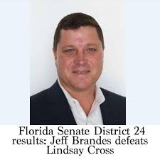 Florida Senate District 24 results: Jeff Brandes defeats Lindsay Cross