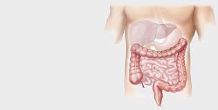 . (perdant patience) a quoi ça sert d'investir dans . les nouvelles technologies si on n'a pas le fuel pour s'en servir, hein? Endoscopie Digestive En Clinique De Gastro Enterologie A Irigny