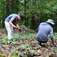 Native Planting with Wild Woods Restoration event image