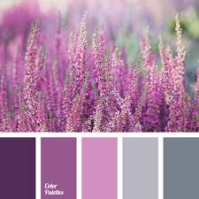 Purple is a neutral color, and it's not considered to be either female or male. Light Violet Color Palette Ideas