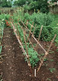 three garden structures you can build vegetable gardener jardin de legumes jardin permaculture jardinage