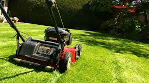 But when the soil underneath your grass gets compacted, less air and nutrients can get through, causing problems with your grass. Lawn Care Alliance Mowing Australia Wide Sydney Brisbane Melbourne Perth Adelaide Canberra Gold Coast