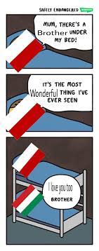 History memes and jokes go here. Polish Hungary Friendship Historymemes
