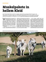 Ancak dna analizlerine göre bu ırk 20.000 yıl ötesinden hindistan ve pakistan dan gelme olduğu söylenmektedir. Wir Und Unsere Piemonteser In Der Tierwelt Frisch Vo De Tanne Piemonteser Beef Schwein Fisch