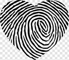 That special person could be a family member, a life companion, a friend or even an animal. Fingerprint Heart Shape Tattoo Transparent Png