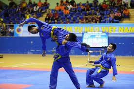 I would rate it as intermediate. Vovinam La Gi Nhá»¯ng Ä'iá»u Cáº§n Biáº¿t Vá» Mon Vo Truyá»n Thá»'ng Viá»‡t Nam