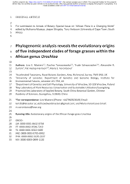 Image result for Urochloa marlothii